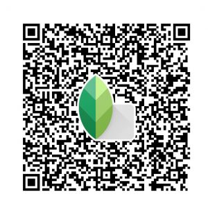 Aan de slag met Snapseed: verbeter je edit snel!