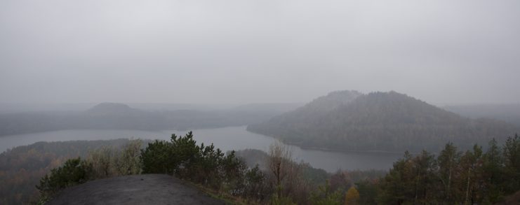 Connecterra: bezoek aan Nationaal Park Hoge Kempen